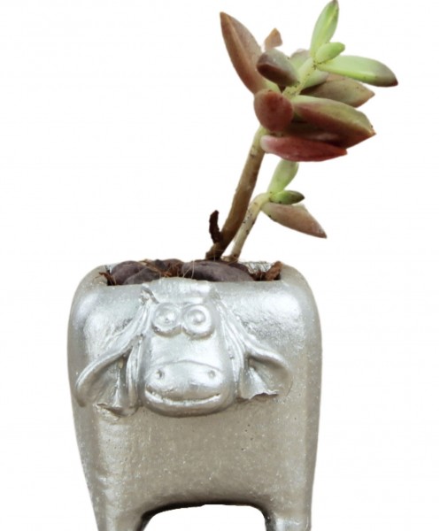 Mini Çiçek Saksı Küçük Sukulent Gümüş Kaktüs Saksısı Mini İnek Model